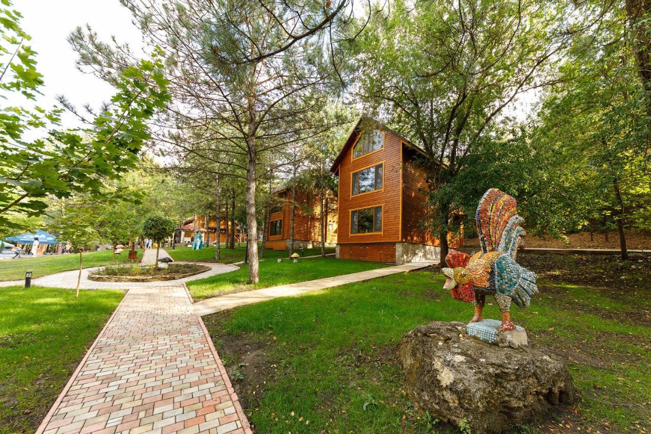 Sky Land Camping & Resort Cricova Buitenkant foto