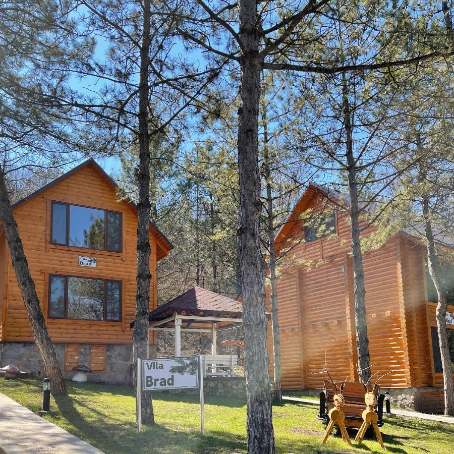 Sky Land Camping & Resort Cricova Buitenkant foto
