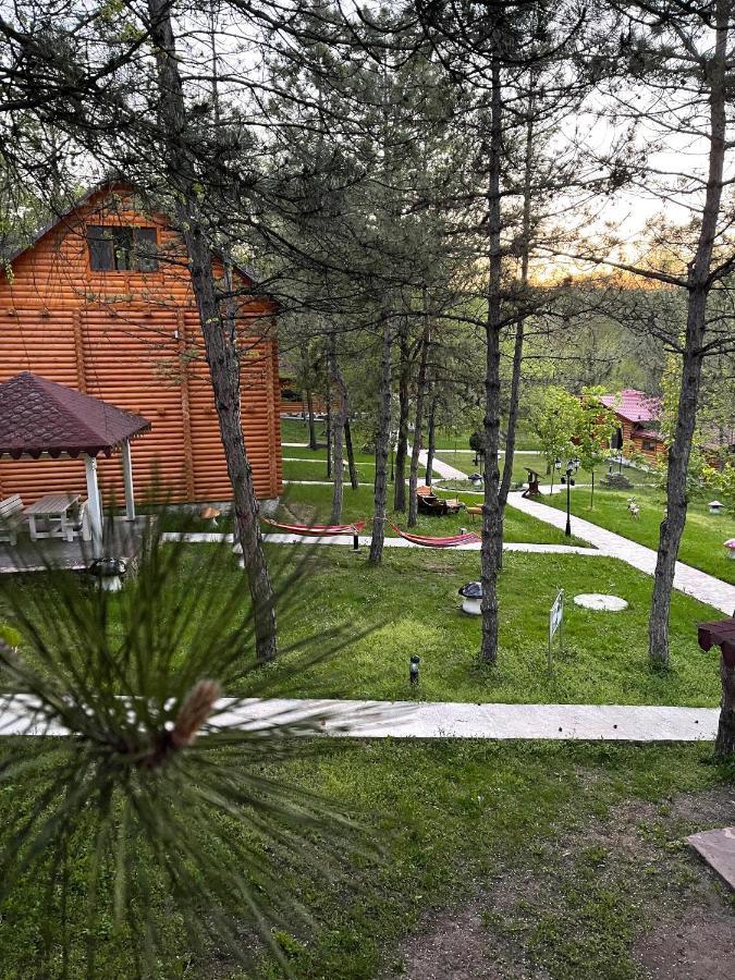 Sky Land Camping & Resort Cricova Buitenkant foto